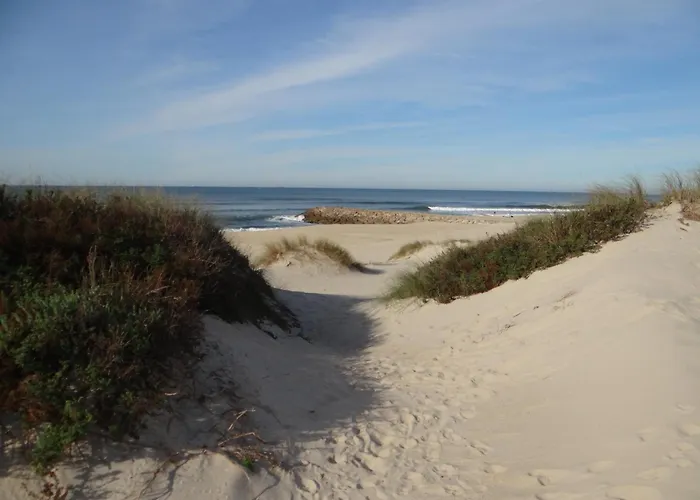 Casa vacanze Ribeiro's House