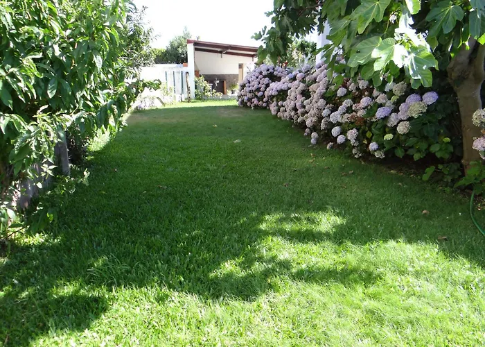 Ribeiro's House بيت للعطل